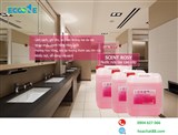 Scent Rosy – Nước rửa tay cao cấp – lành tính cho khách sạn, nhà hàng